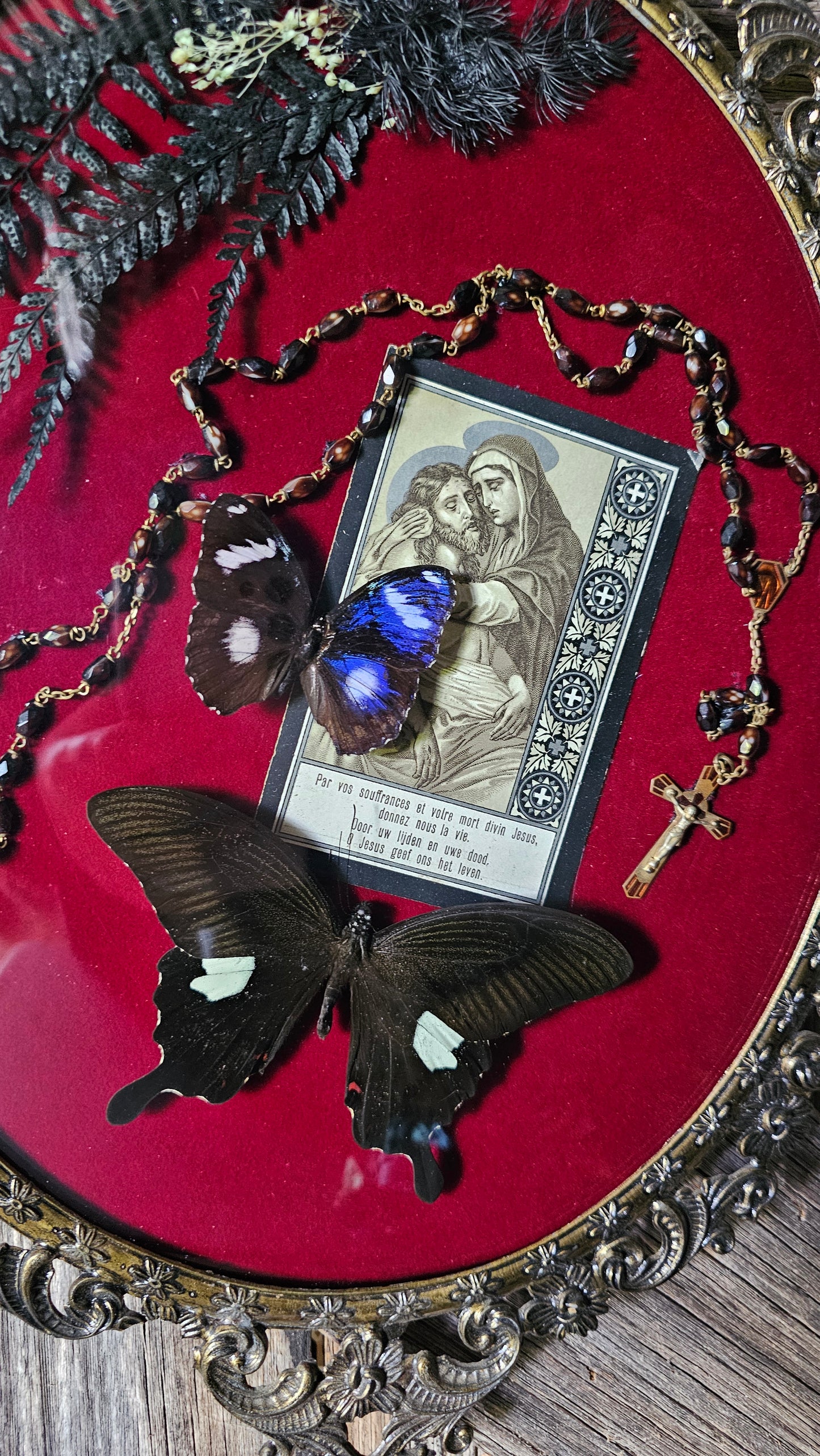 Frame vintage - Brass Italian Gothic bubble frame with butterflies