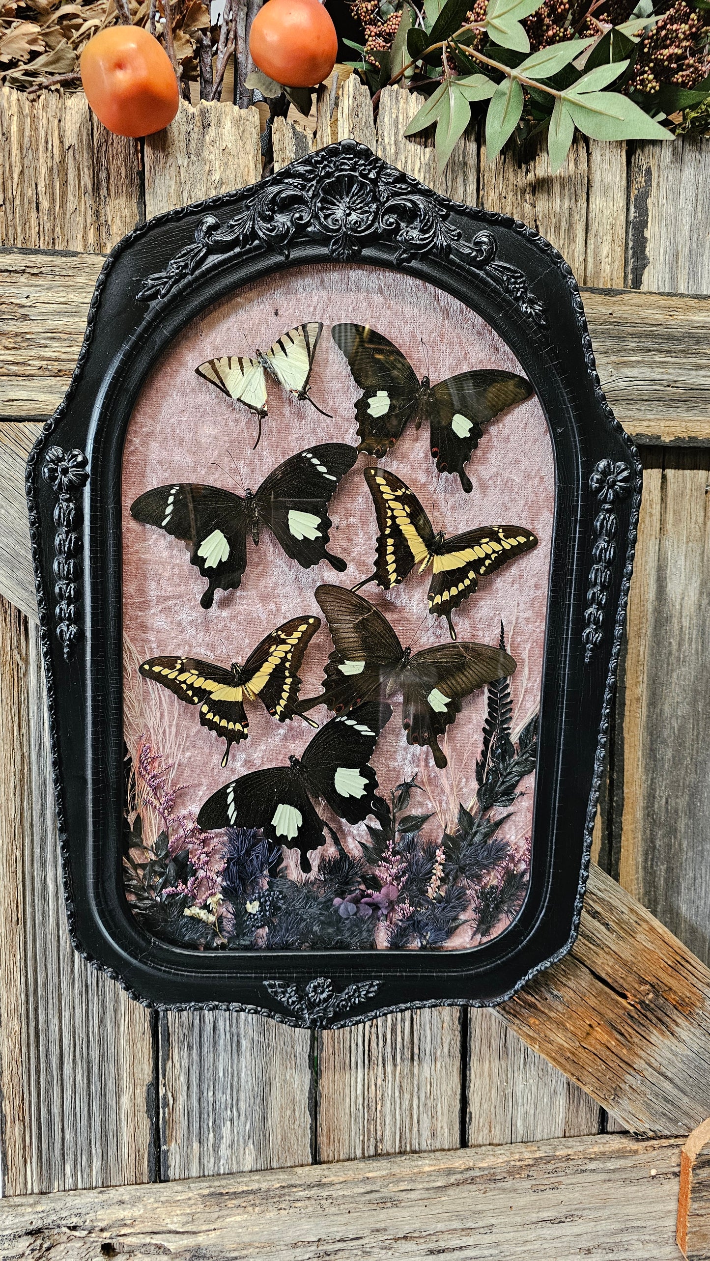 Frame vintage medium - various designs with butterflies