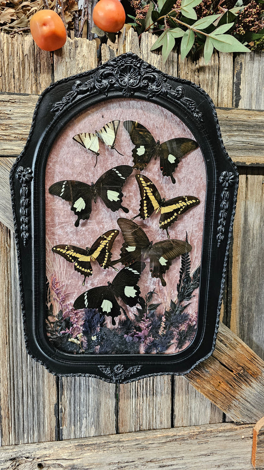 Frame vintage medium - various designs with butterflies