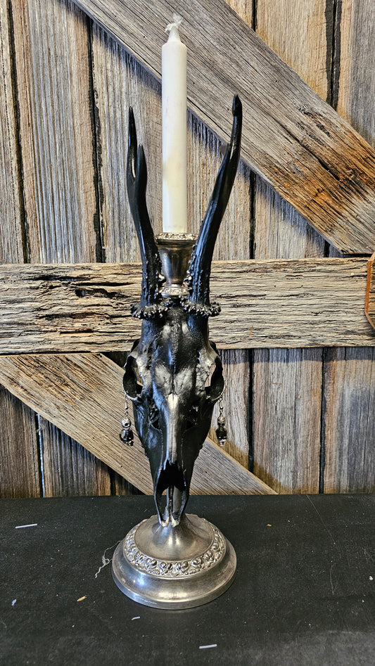 Candle holder - real roe deer skull on brass vintage candle stick