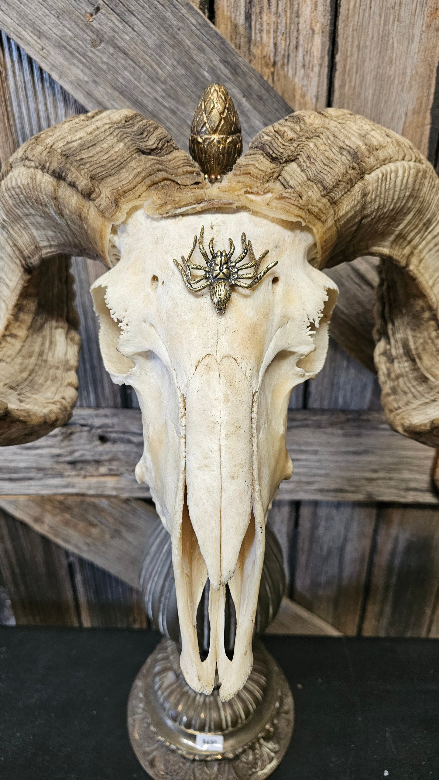 Ram skull on vintage brass base