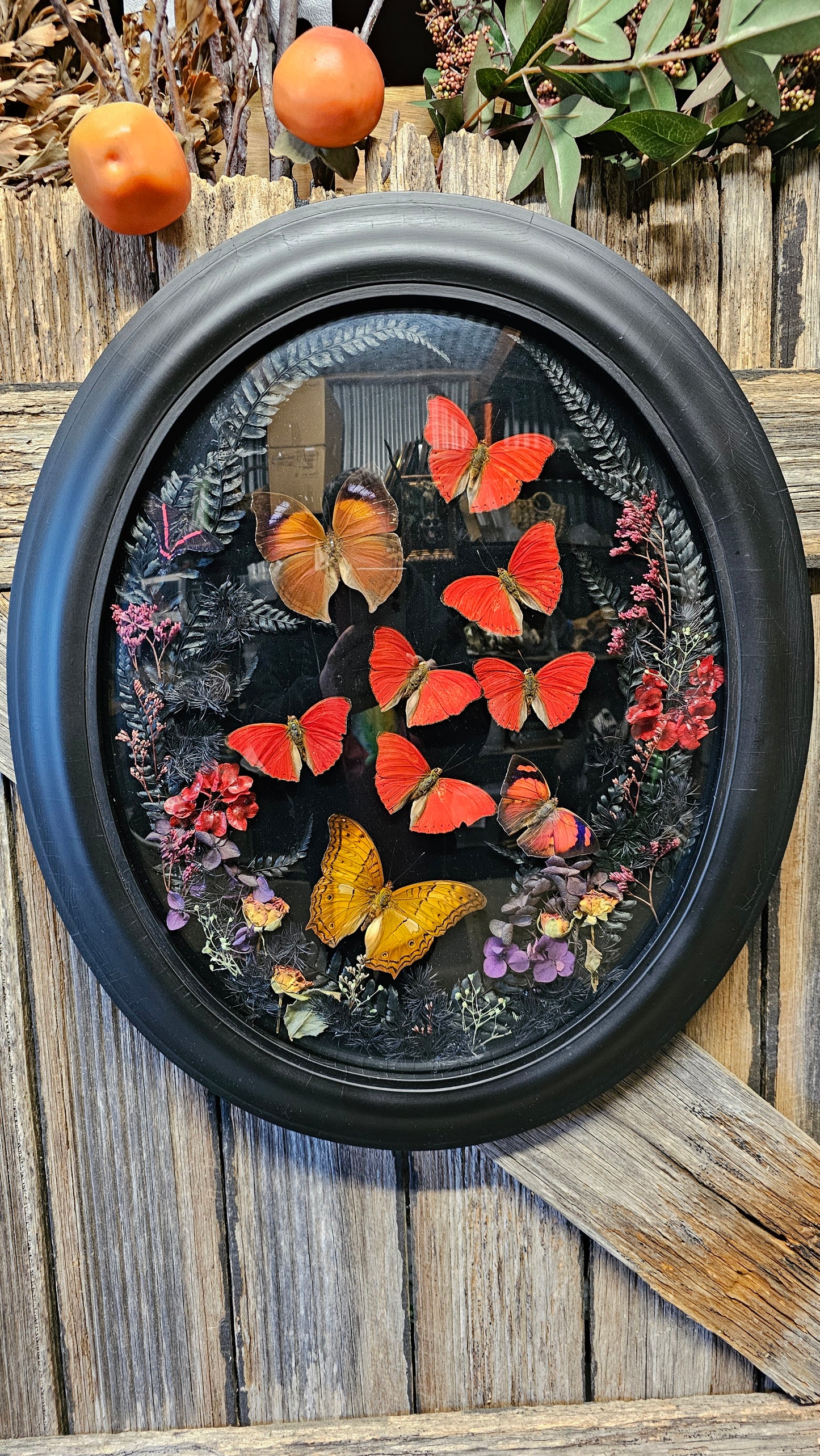 Frame vintage - with Red Sangria butterflies