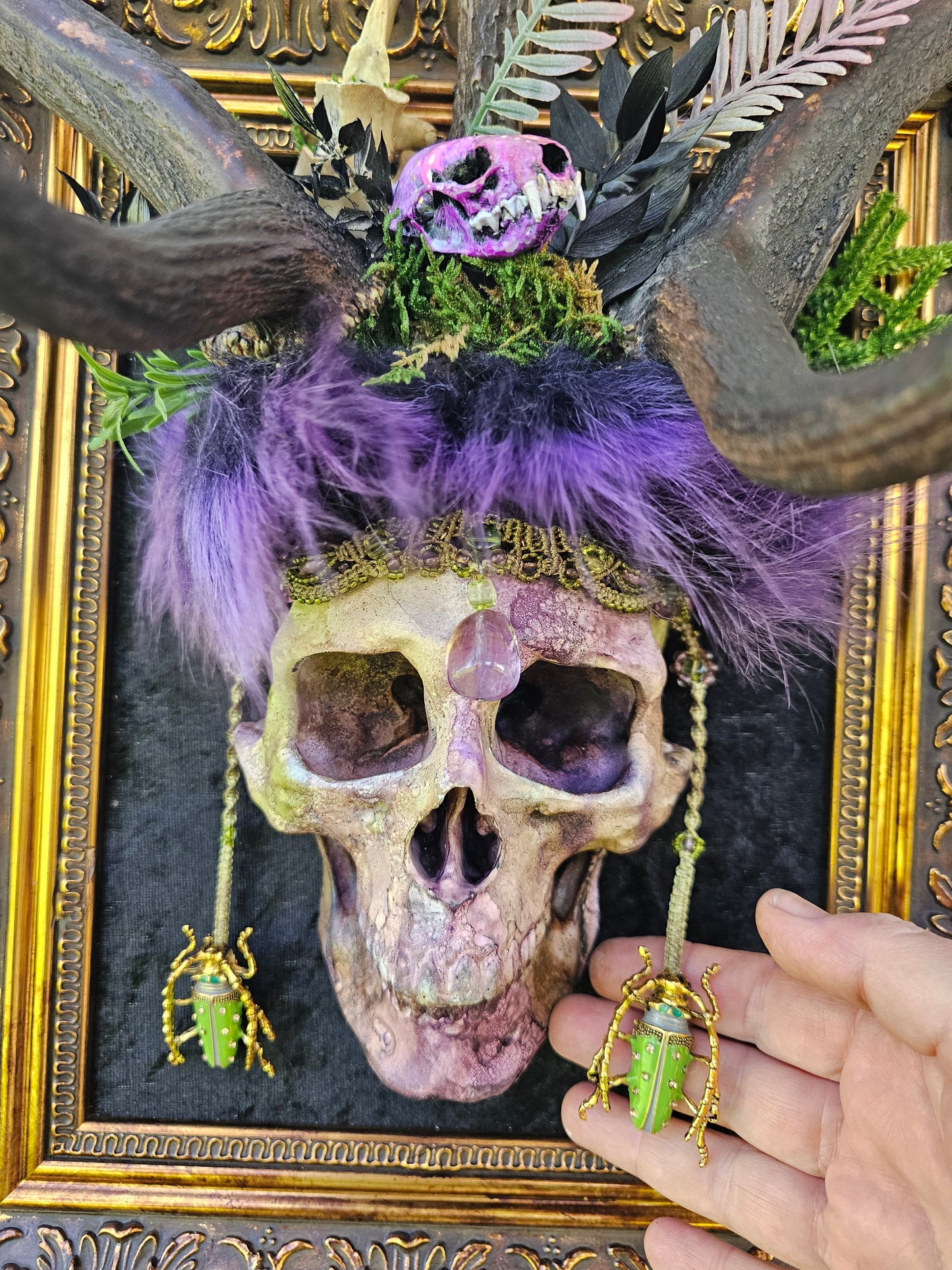 Deer antlers - 'Ancients Lost v' real fallow deer with human-size skull