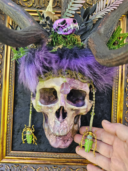 Deer antlers - 'Ancients Lost v' real fallow deer with human-size skull