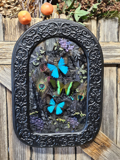 Frame vintage - with Blue Green Swallowtail butterflies
