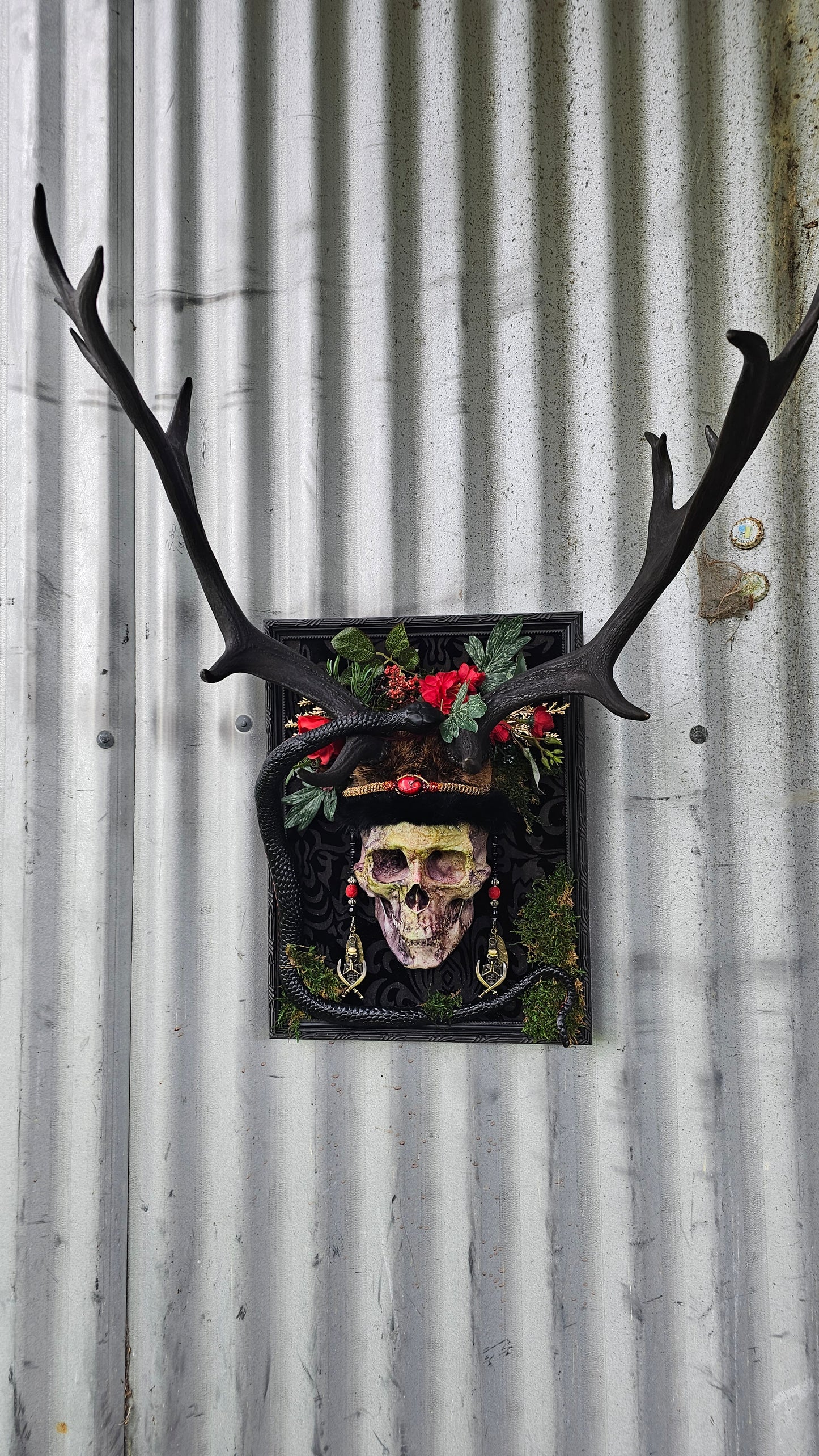 Deer antlers - 'Ancients Lost vi' fallow deer with human-sized skull and snake art