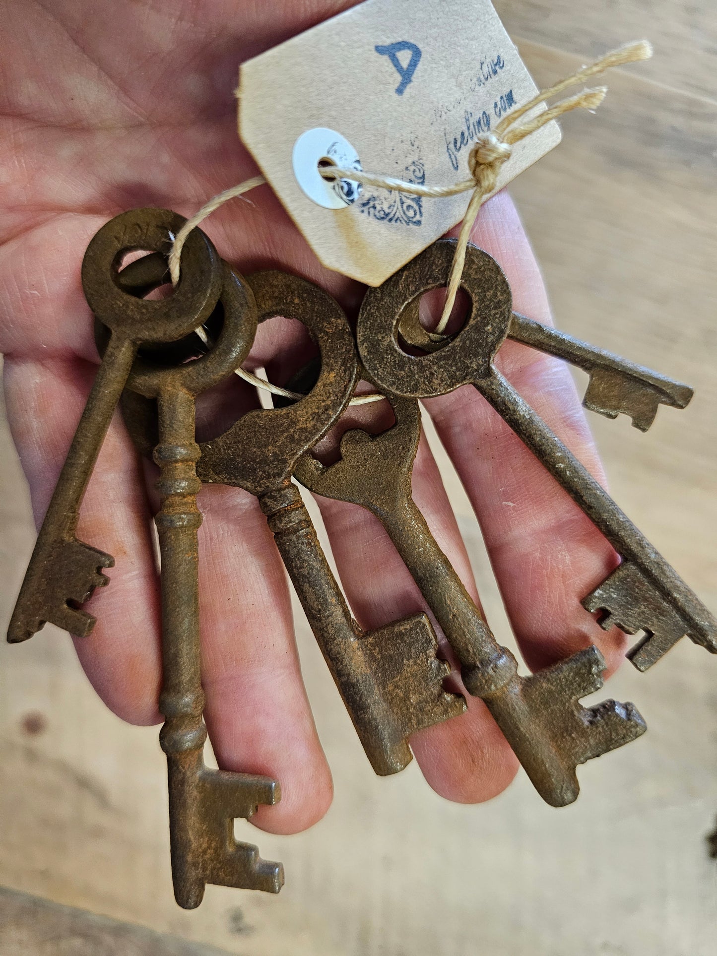 Vintage 1800s skeleton keys set of 6