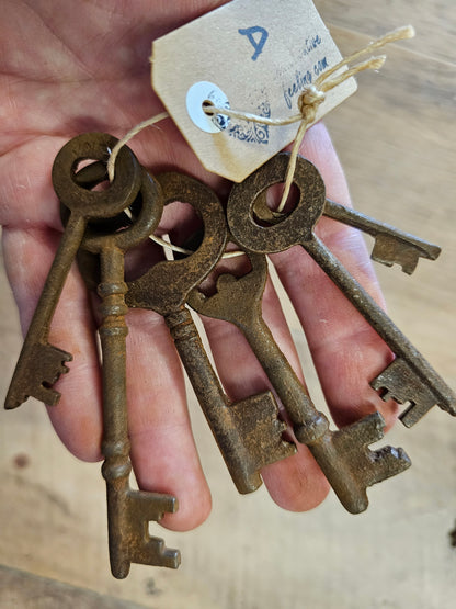 Vintage 1800s skeleton keys set of 6