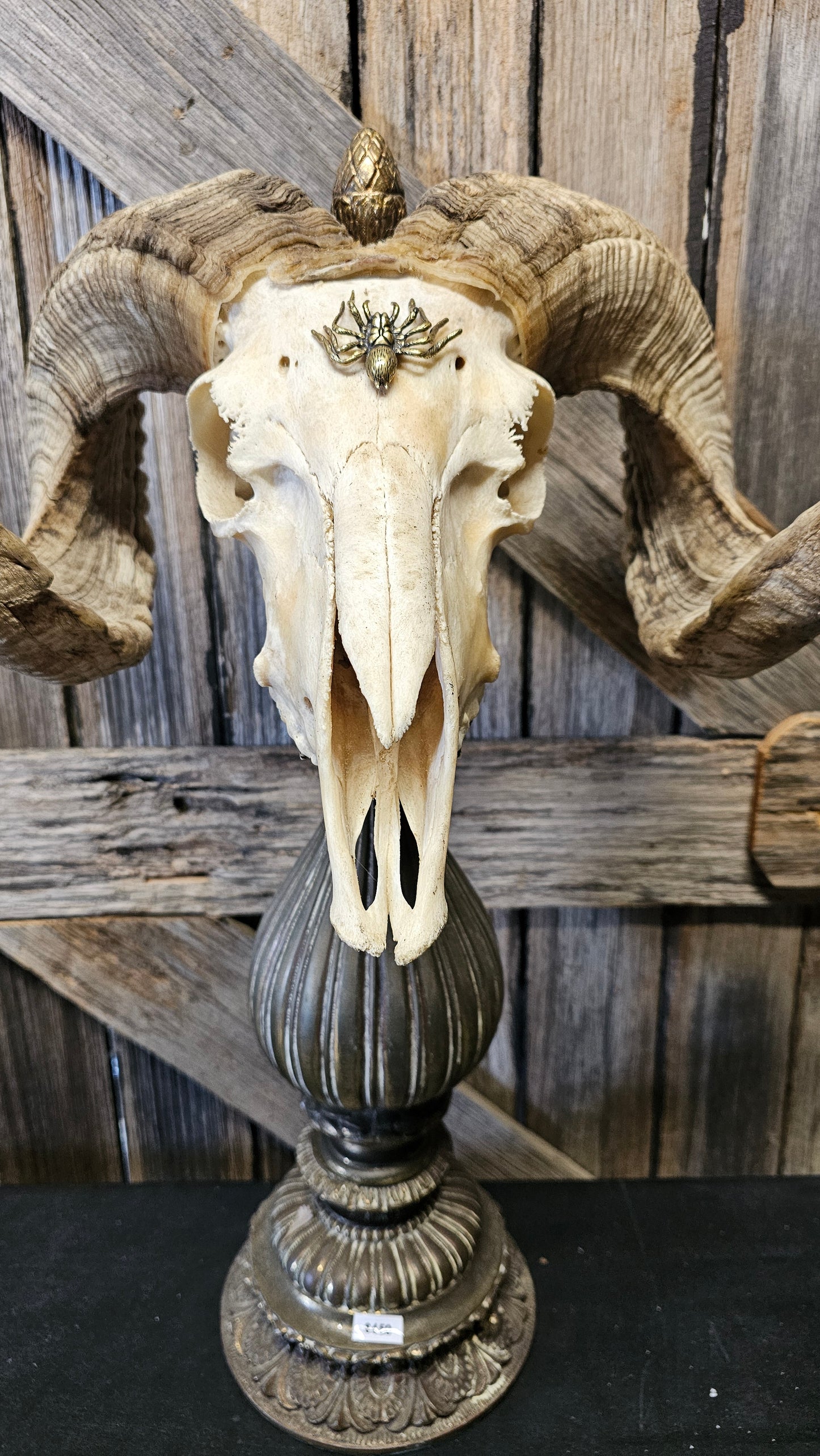 Ram skull on vintage brass base