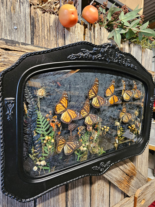 Frame vintage - with Monarch butterflies