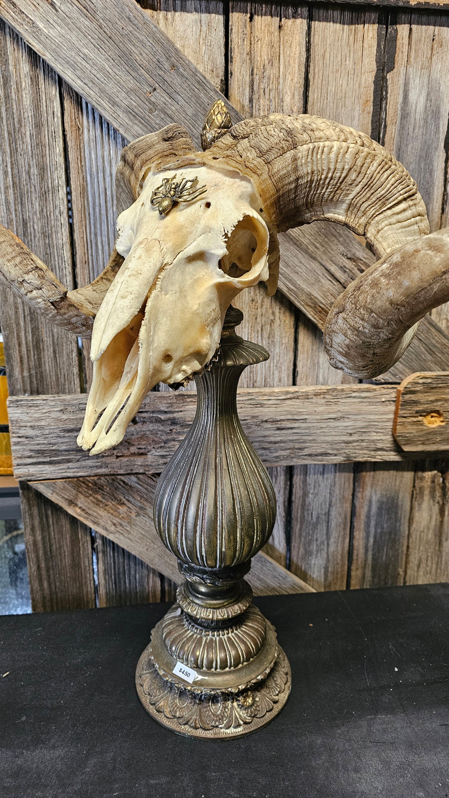 Ram skull on vintage brass base