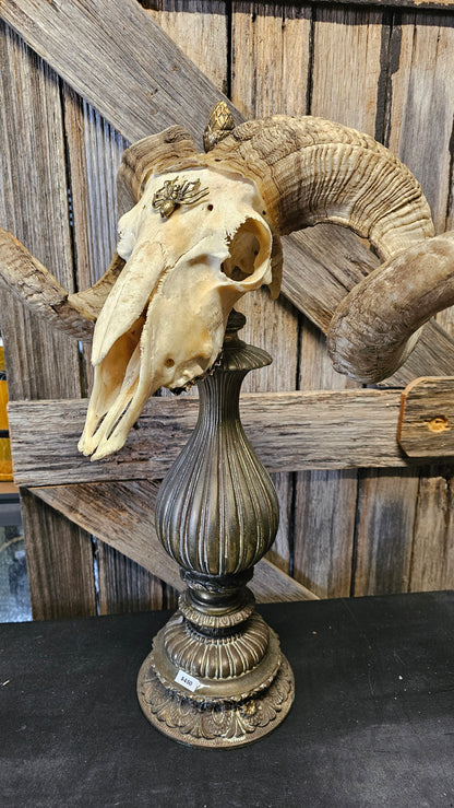 Ram skull on vintage brass base
