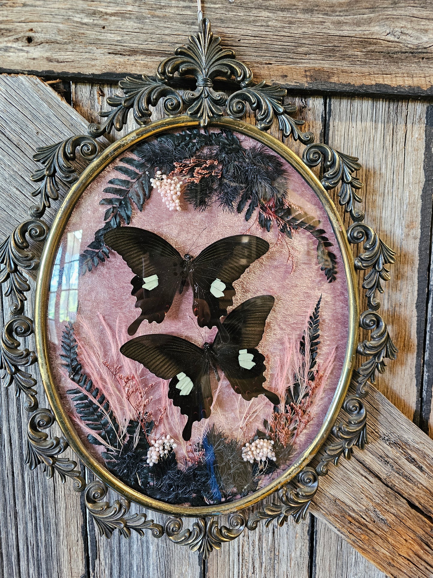 Frame vintage - Brass Italian Gothic bubble frame with butterflies