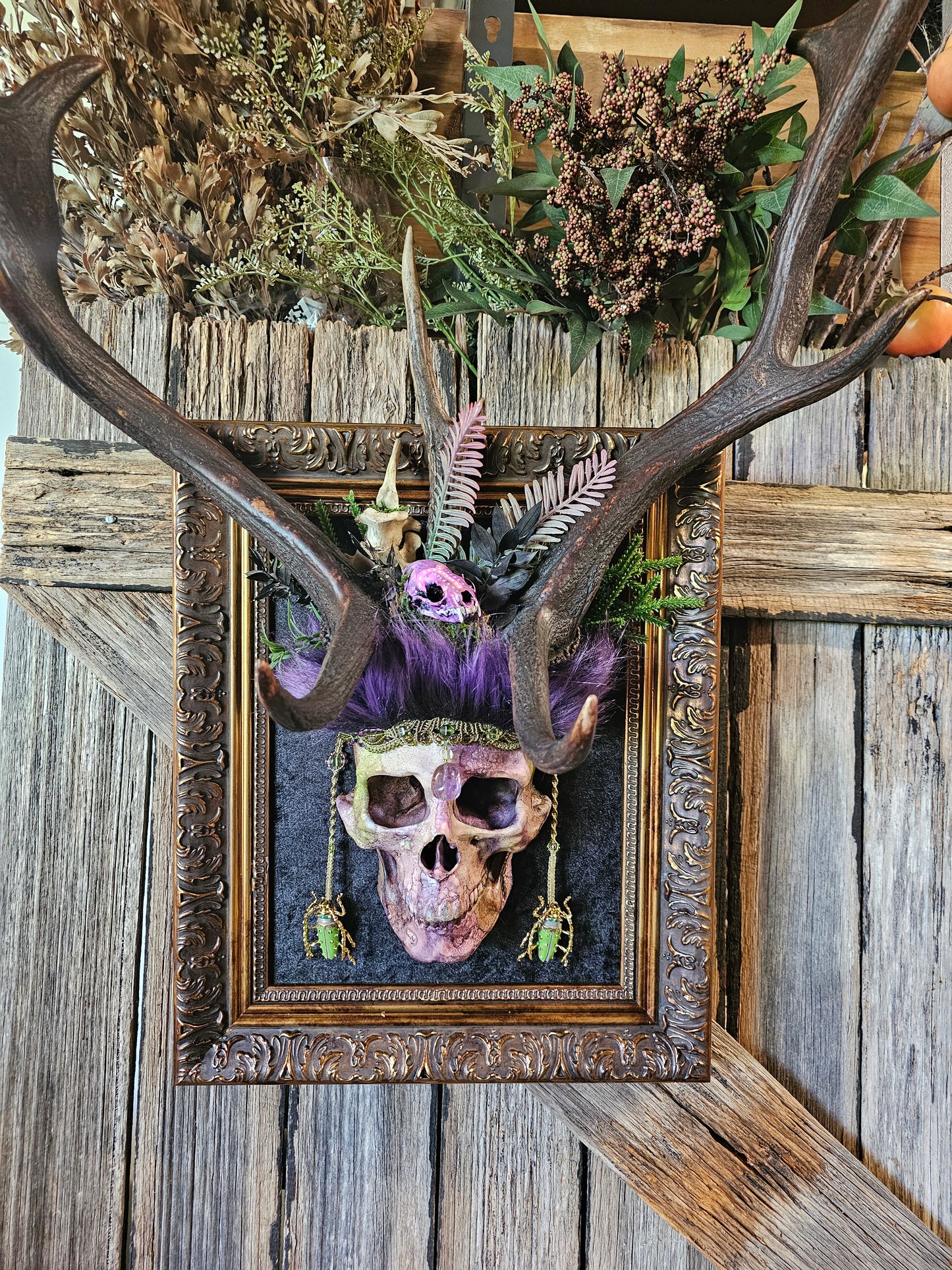 Deer antlers - 'Ancients Lost v' real fallow deer with human-size skull