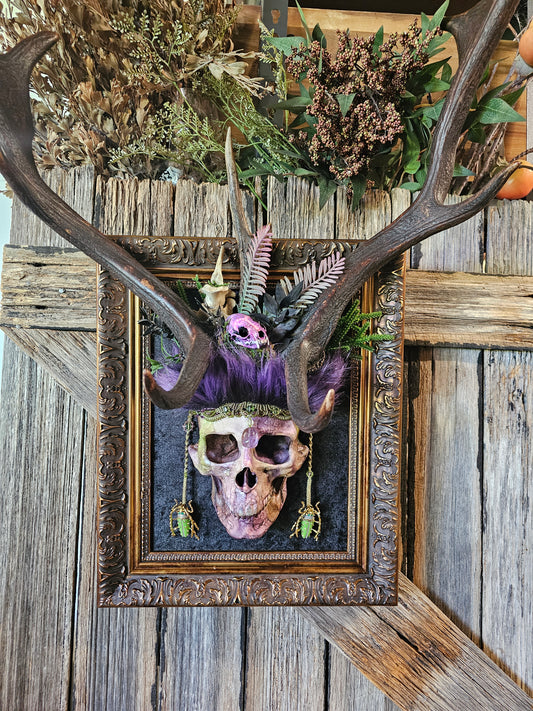 Deer antlers - 'Ancients Lost v' real fallow deer with human-size skull