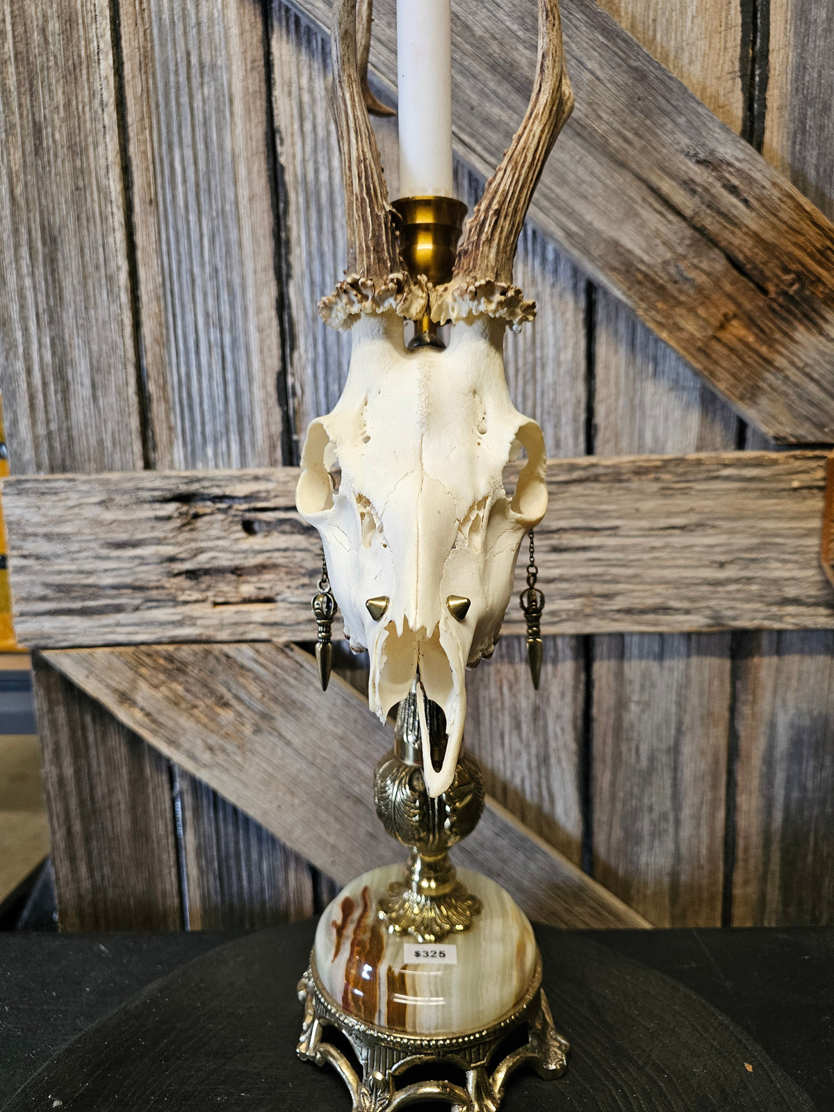 Candle holder - real roe deer skull on brass vintage candle stick