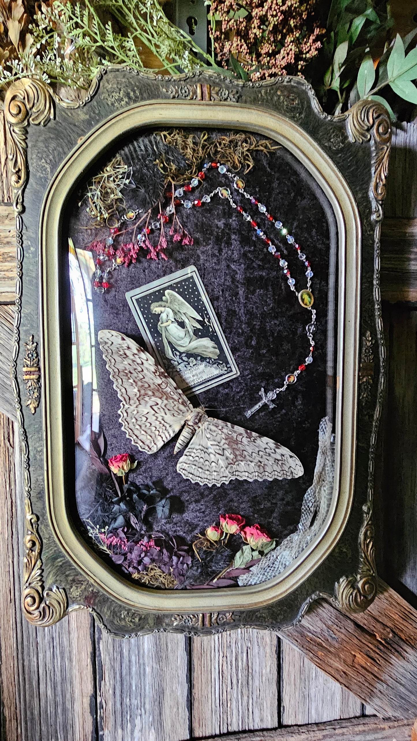 Frame vintage - Victorian Gothic bubble frame with White Witch Moth