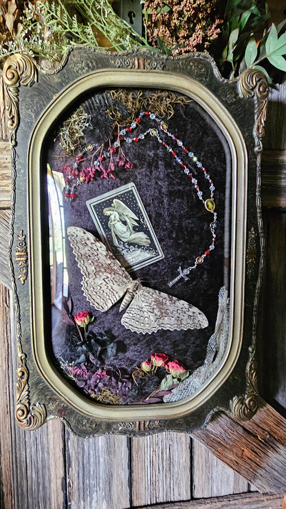 Frame vintage - Victorian Gothic bubble frame with White Witch Moth