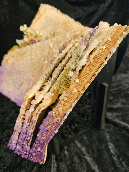 The Story of San Michele (1938) - crystalized vintage book
