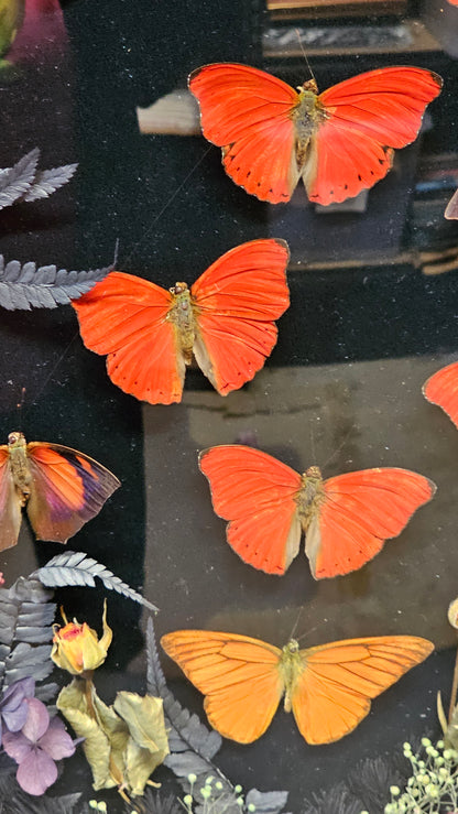 Frame vintage - with Red Sangria butterflies
