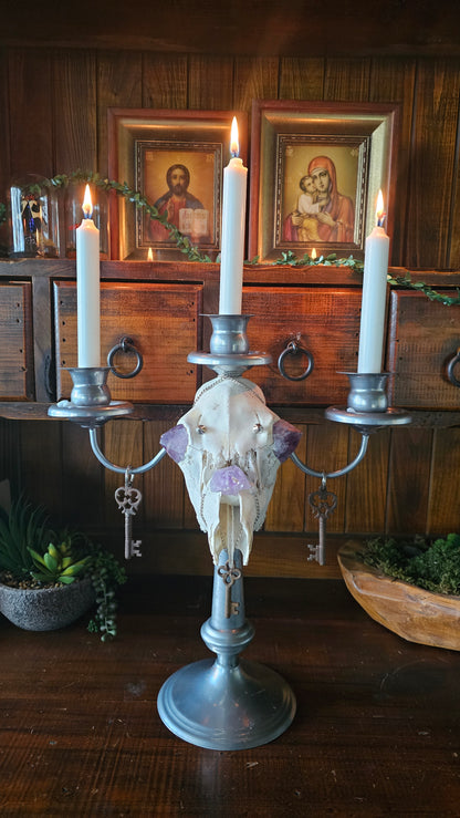 Candle holder - real skull on vintage candle stick