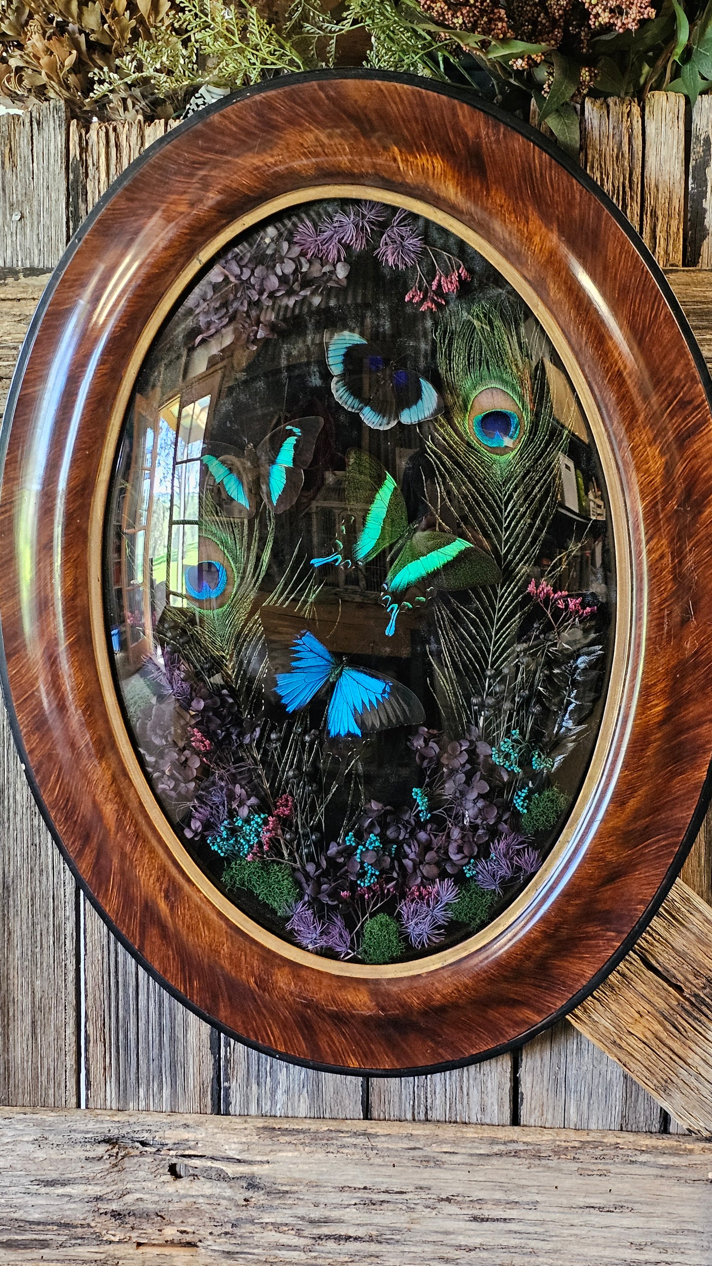Frame vintage - Victorian Gothic bubble frame with Blue butterflies mix
