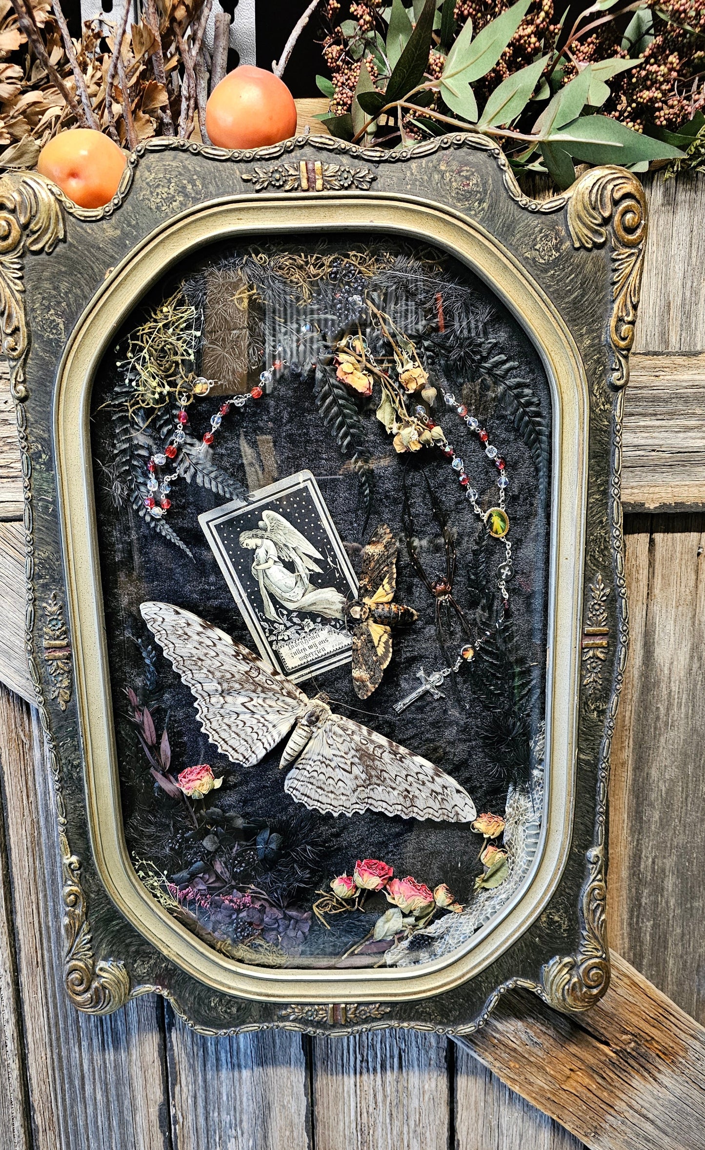 Frame vintage - White Witch and Deaths-Head Moth