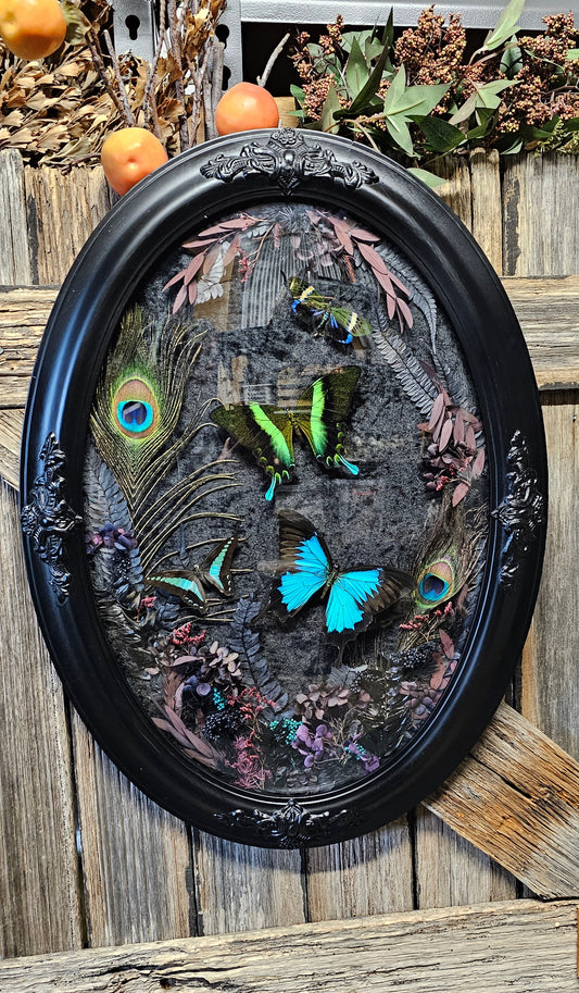 Frame vintage - with Blue Green butterflies