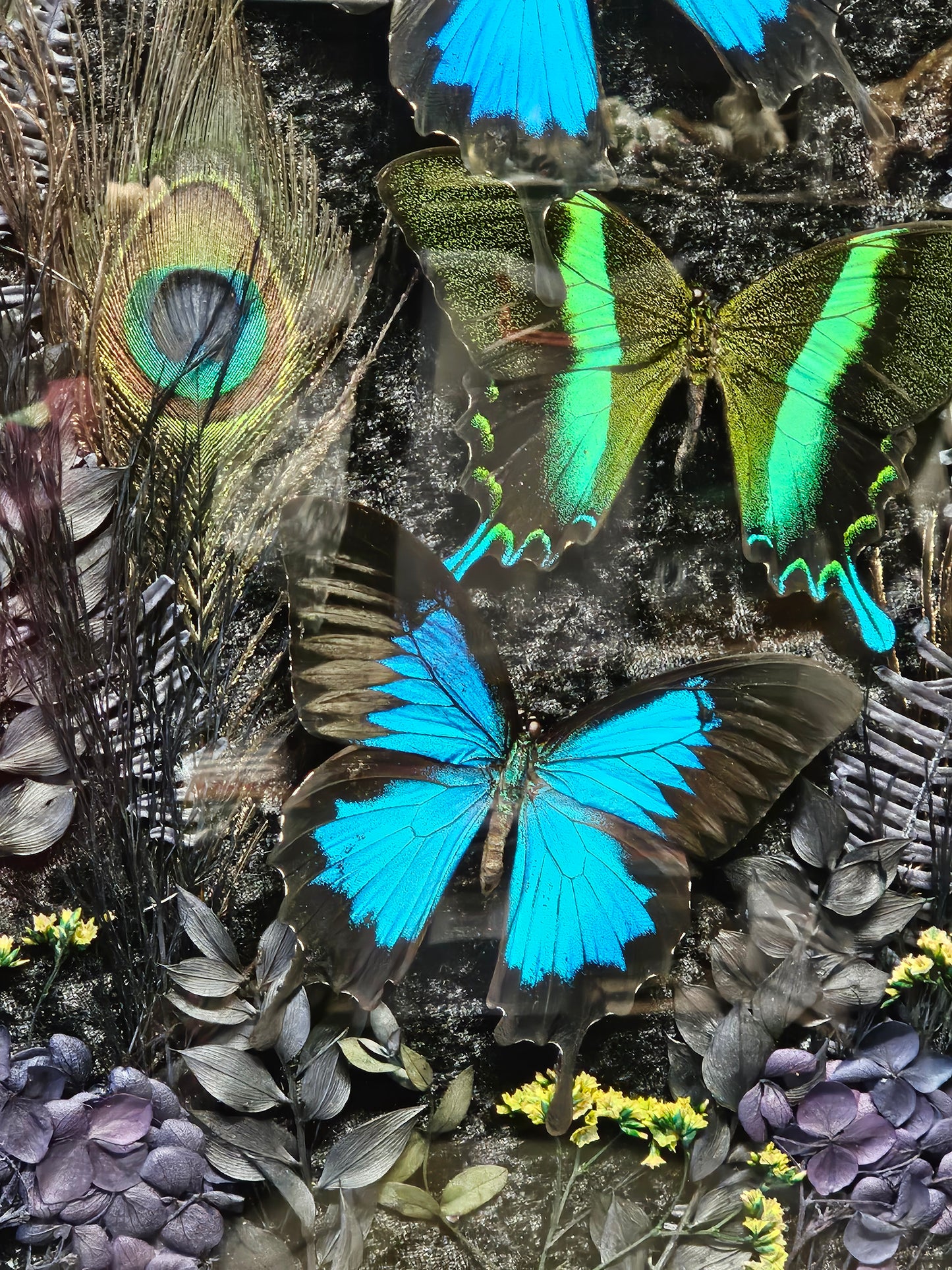 Frame vintage - with Blue Green Swallowtail butterflies