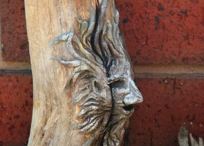 Old-man root sculpture closeup