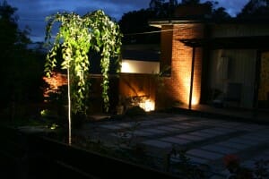 My garden lights